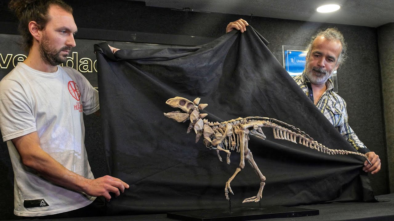 Jakapil kaniukura, un escudero argentino dinosaurio pequeño