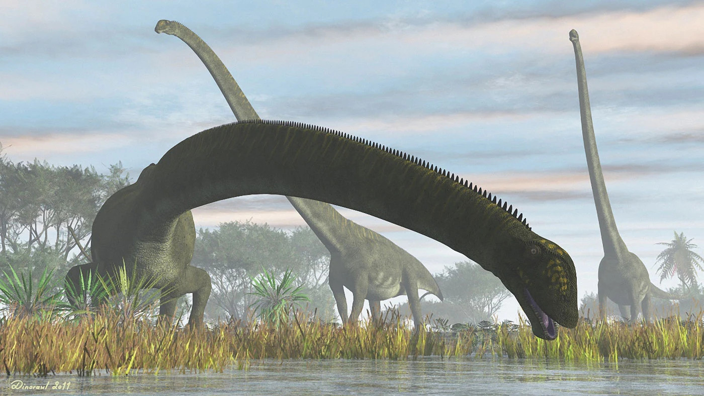 Mamenchisaurus sinocanadorum, el retorno del rey