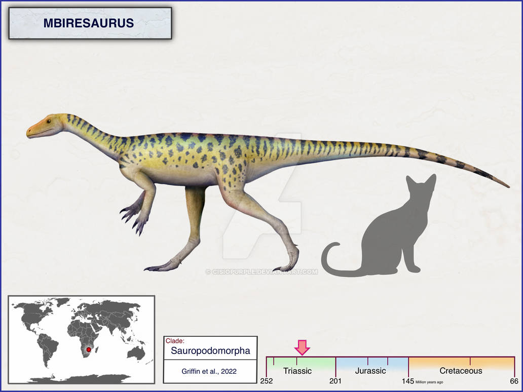 Mbiresaurus raathi