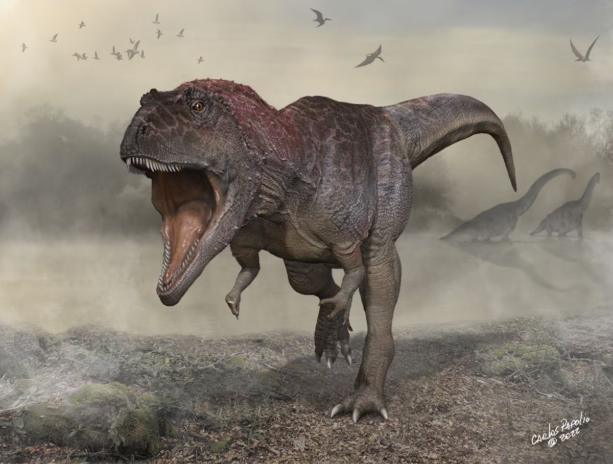 Meraxes gigas