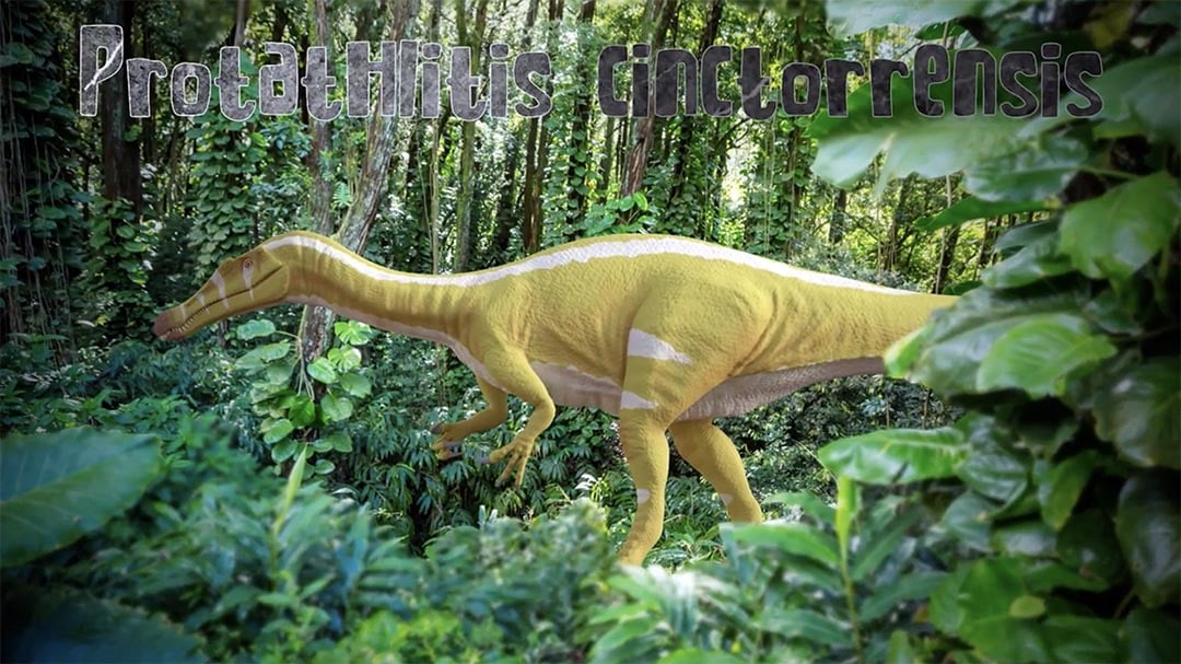 Protathlitis cinctorrensis, el dinosaurio groguet Un espinosáurido campeón